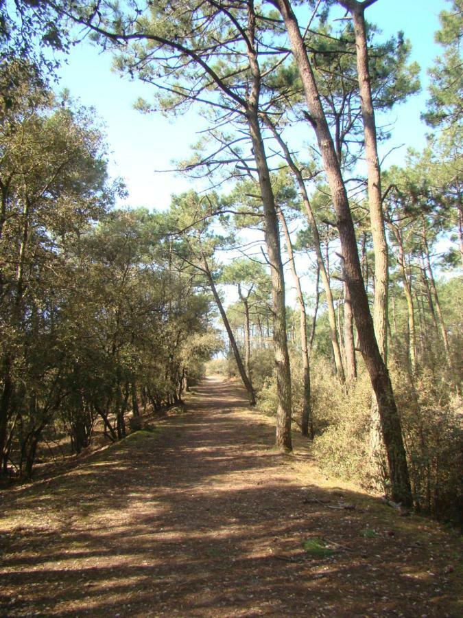 Talmont-Saint-Hilaire Ile Au Pre Vue Lac Et Golf מראה חיצוני תמונה