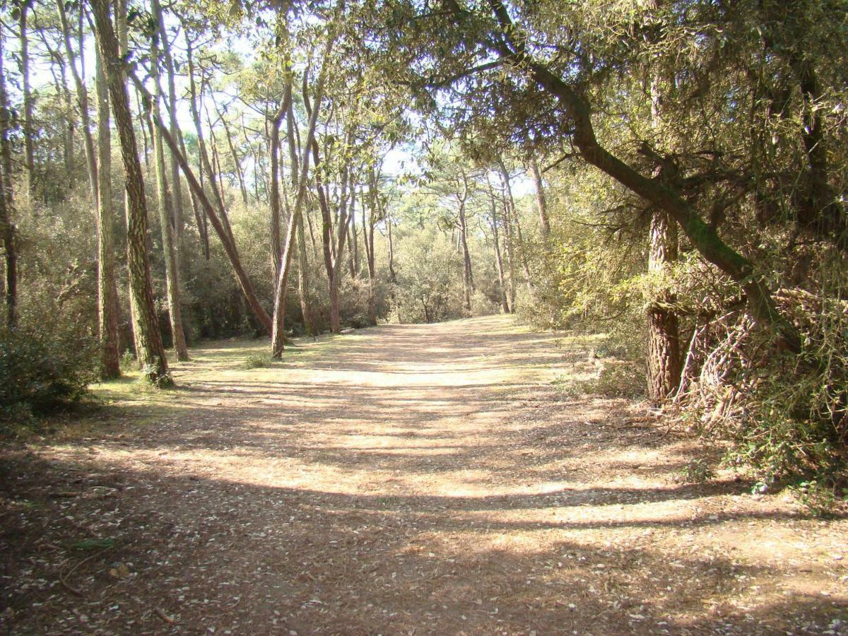Talmont-Saint-Hilaire Ile Au Pre Vue Lac Et Golf מראה חיצוני תמונה